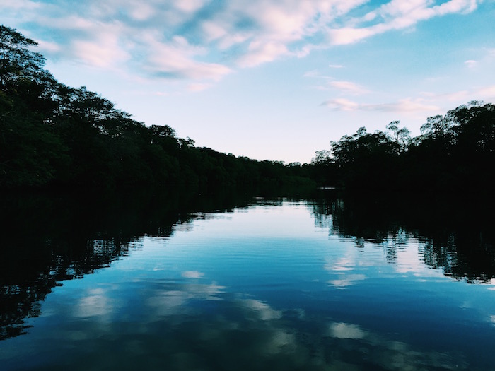 postcard from tamarindo estuary c'est christine