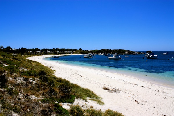 Postcard from Rottnest Island l Photos from Perth, Australia | C'est ...