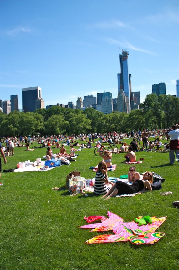 Central Park Picnic in New York City | C'est Christine